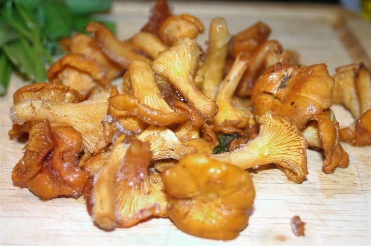 Girolle Mushrooms 1.jpg