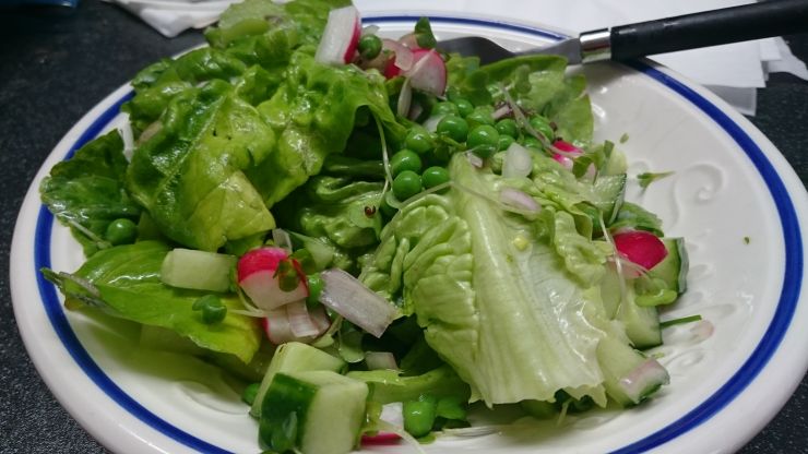 Garden Salad.JPG