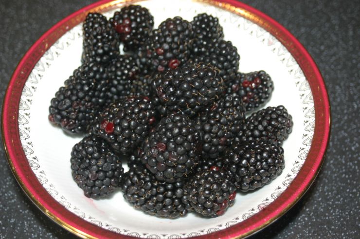 Blackberries.JPG