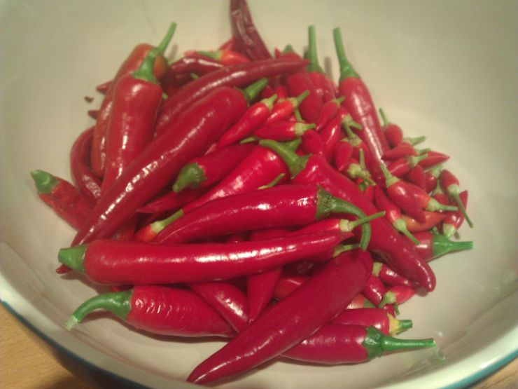 Cayenne Chillies Harvest.jpg