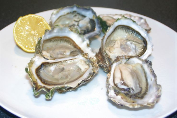 A little Oysters.jpg