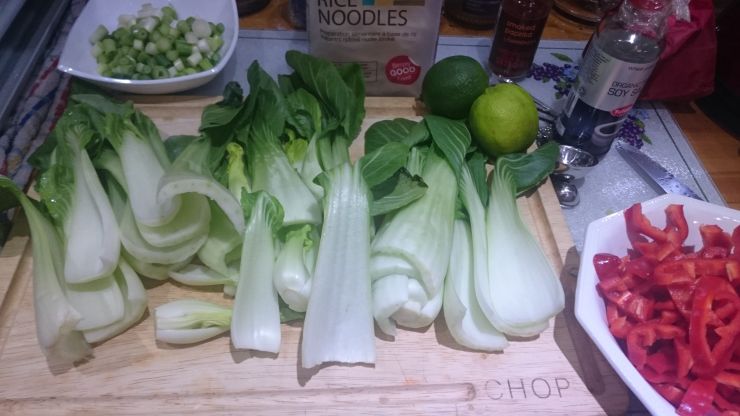 Pak Choi 1.JPG