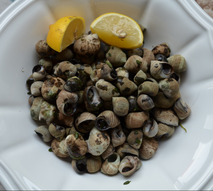 periwinkles.png