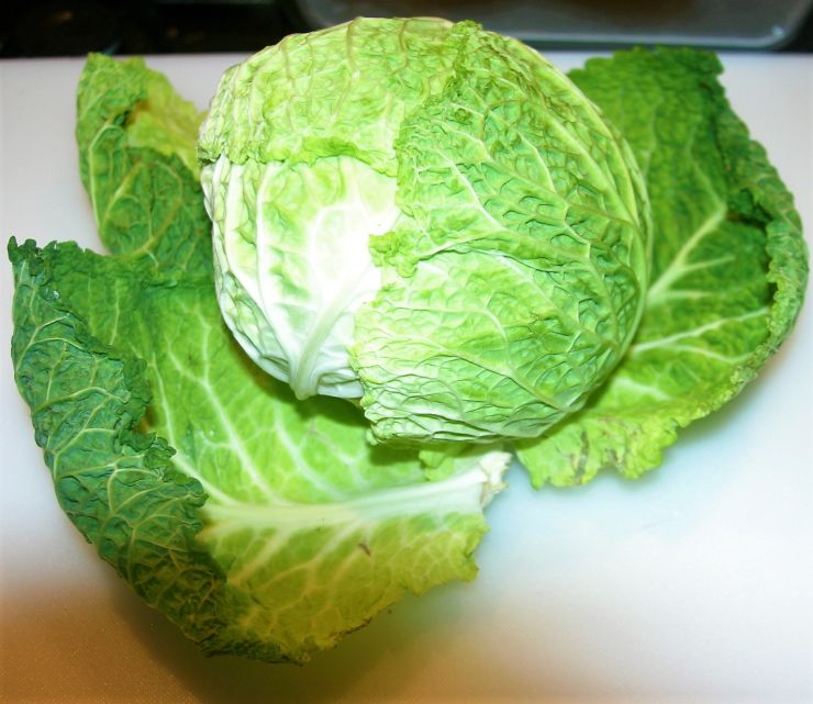 Savoy Cabbage.JPG