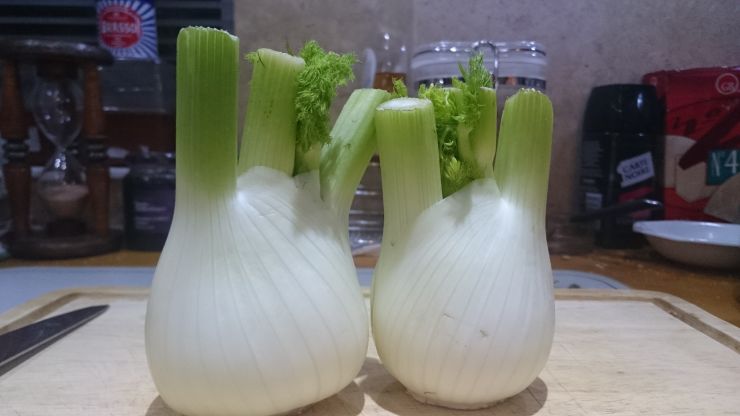 Fennel.JPG