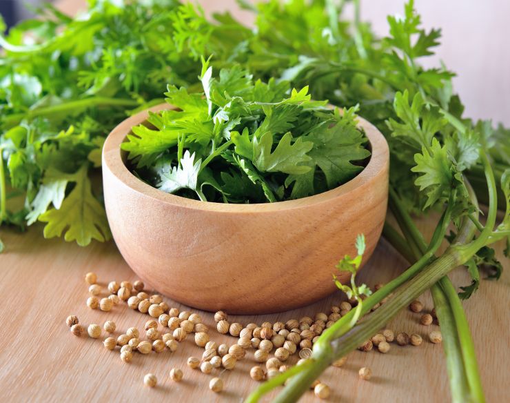 coriander-and-seeds-2021-09-03-19-08-38-utc.jpg