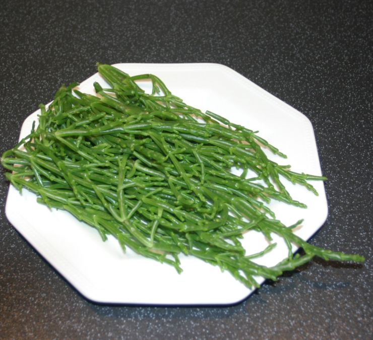 Marsh Samphire Edited 2.JPG