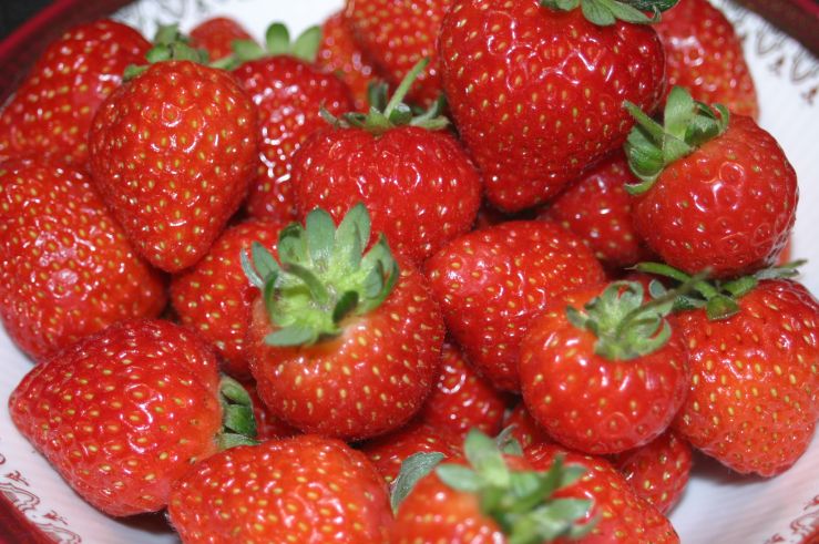 Sain's Brit Strawberries Majestic 7.JPG