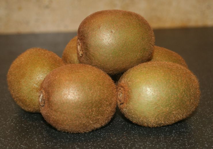 Kiwi Fruits (2).JPG