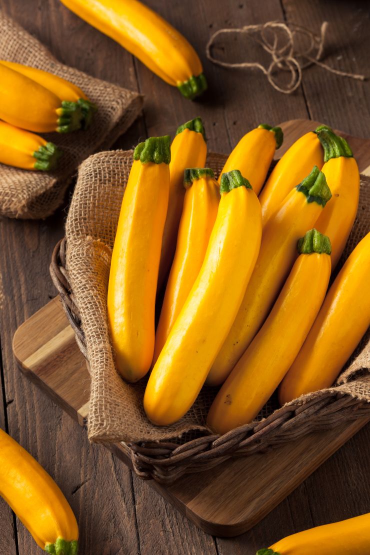 raw-organic-yellow-zucchini-squash-2021-08-26-16-20-46-utc.jpg