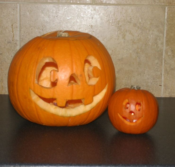 Pumpkin 2017 Stage 4.JPG