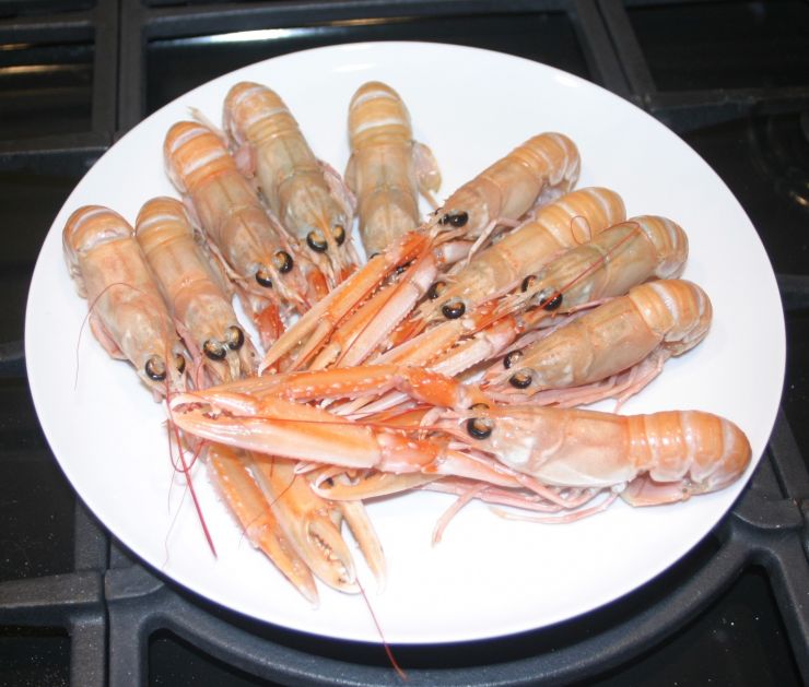 Scottish Langoustines Edited.JPG