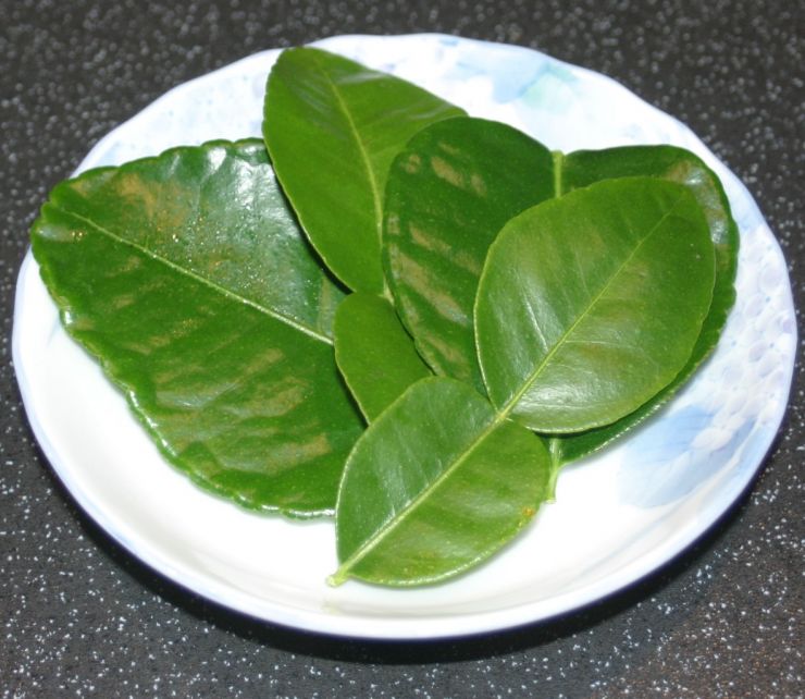 Fresh Kaffir Lime Leaves Edited 1.JPG