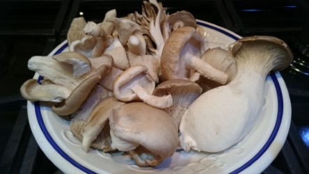 Mixed Mushrooms.jpg
