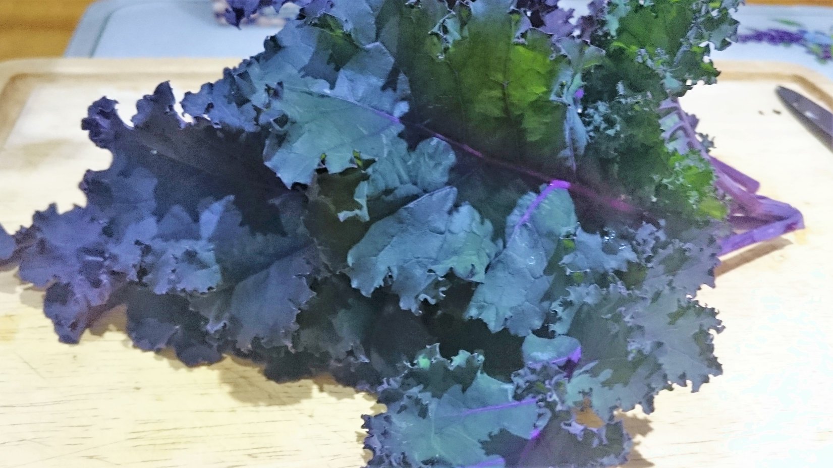 Purple Curly Kale from the Garden.jpg