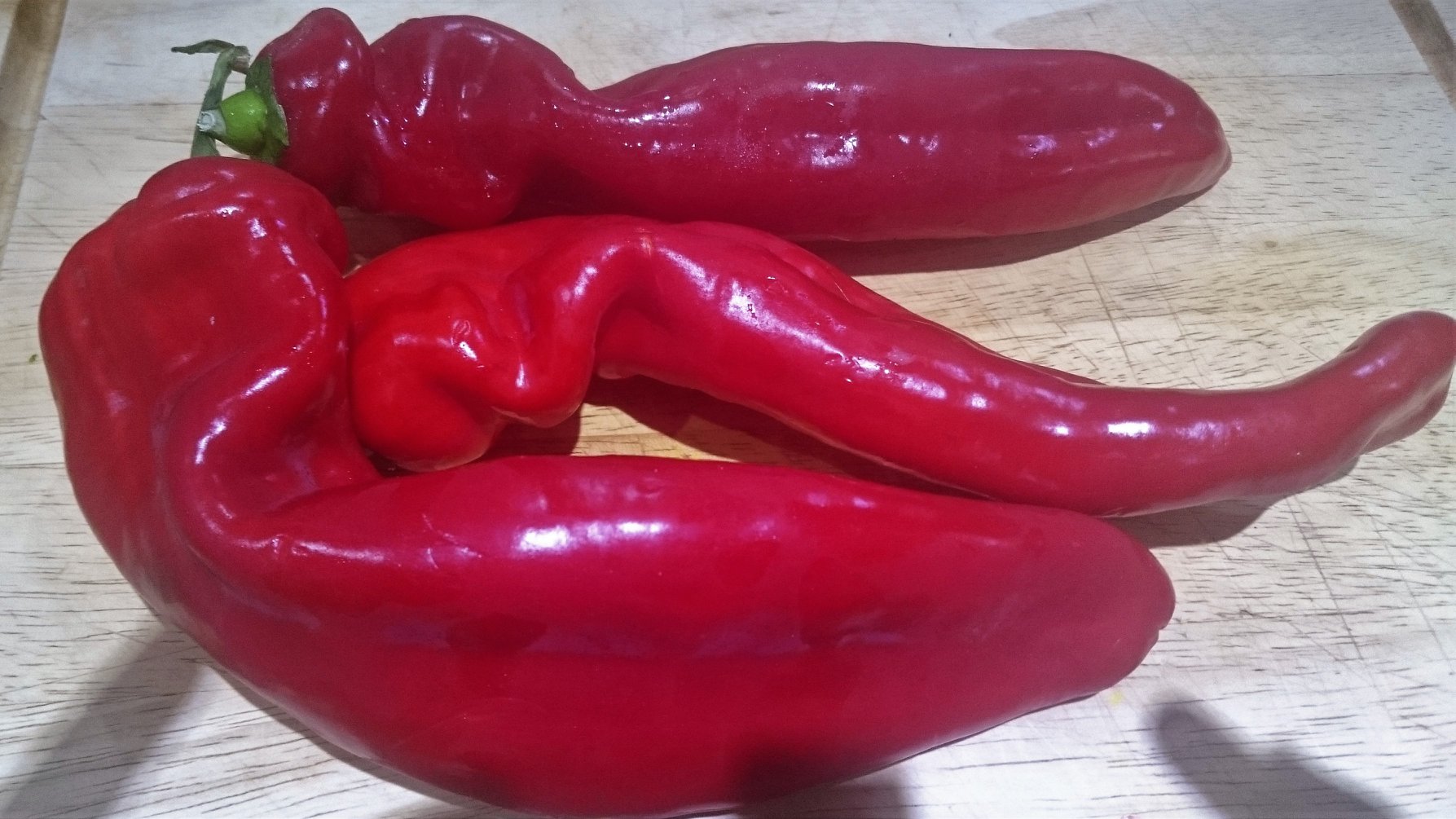 Fresh sweet long red peppers.jpg